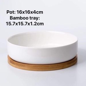 Succulent ceramic pot with bamboo tray